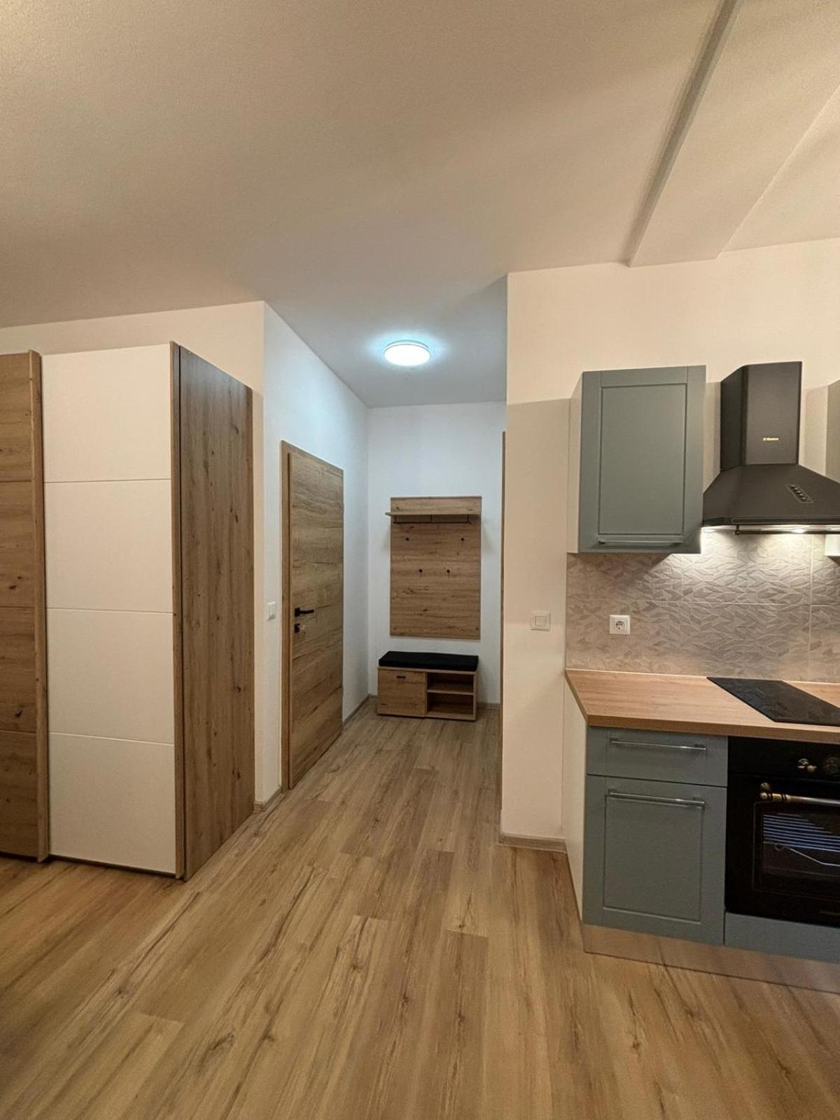Apartment And Room Marlen 罗维尼村 外观 照片