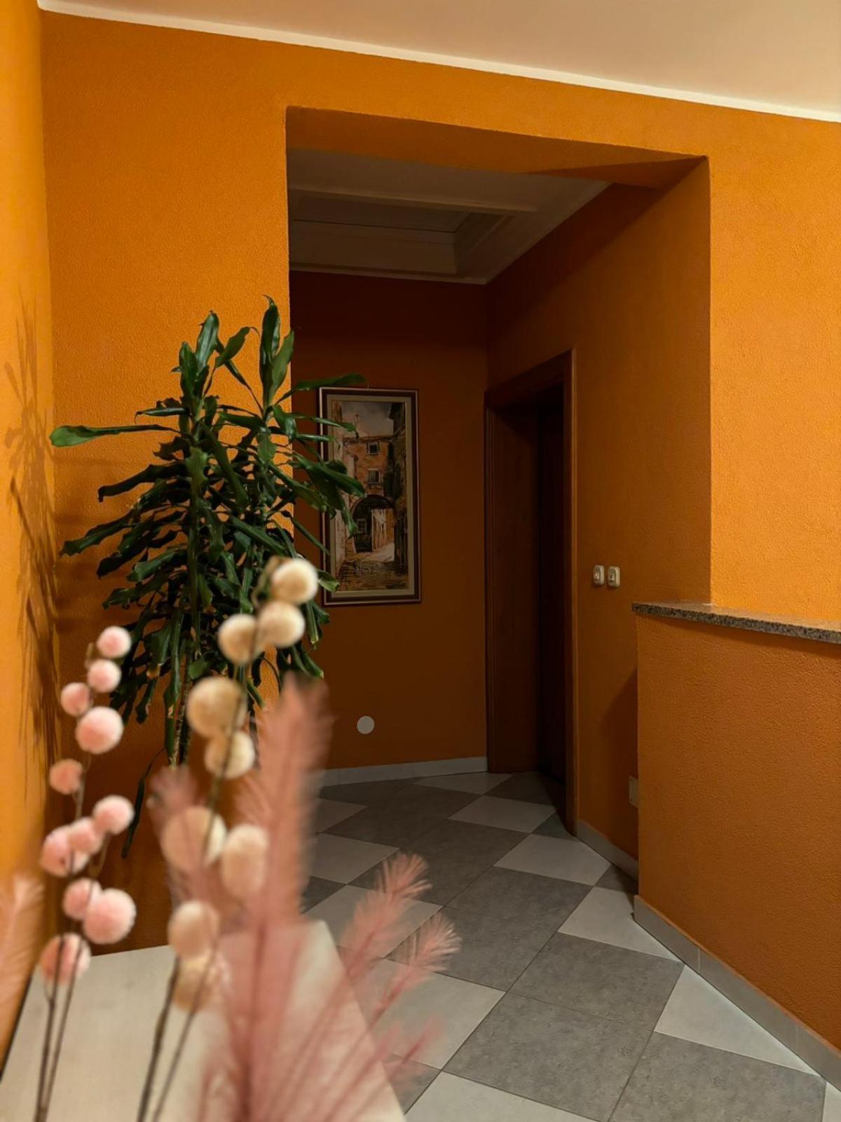 Apartment And Room Marlen 罗维尼村 外观 照片