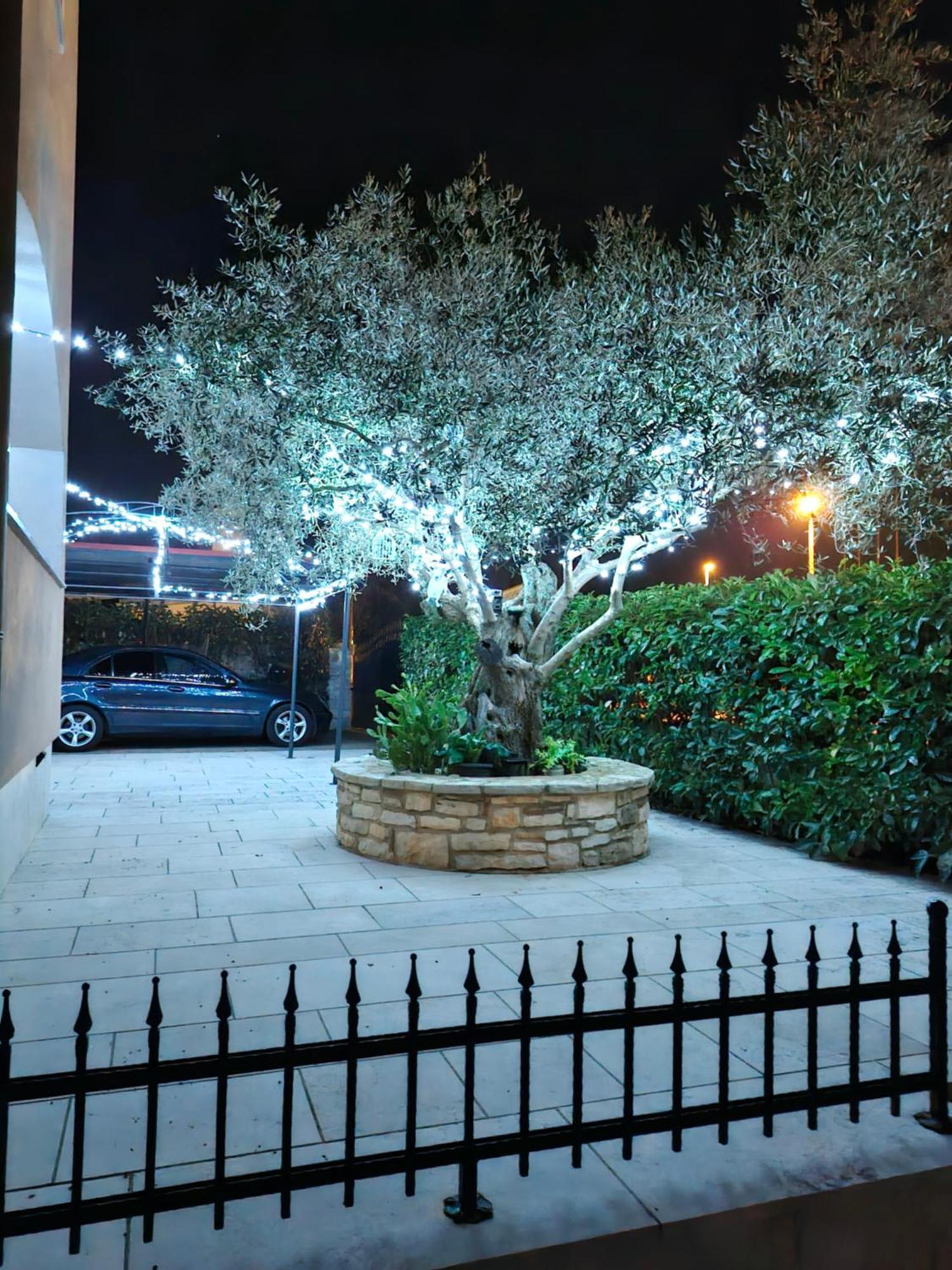 Apartment And Room Marlen 罗维尼村 外观 照片